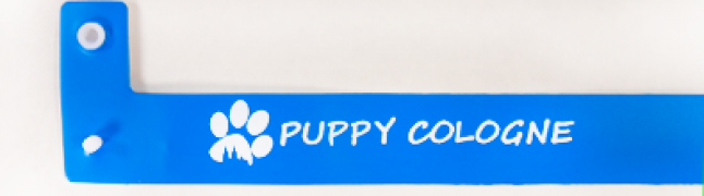 Ano, jednobarevný tisk (1+0)! - +130,00 Kč (+157,30 Kč S daní)